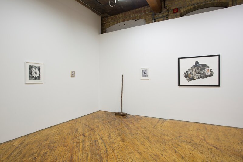 20190424 Alex Fischer Bending Towards the Sun YYZ 01 documentation